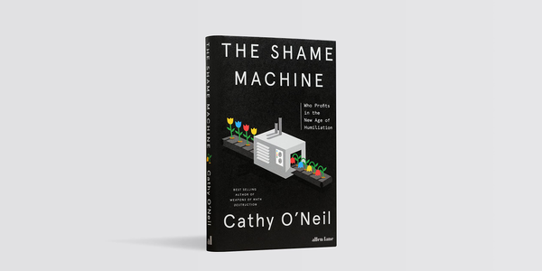 Бумажная книга «The Shame Machine. Who Profits in the New Age of Humiliation», автор Кэти О'Нил - фото №1