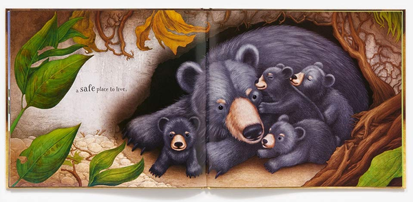 Бумажная книга «A Prayer for the Animals», автор Дэниел Кирк - фото №1