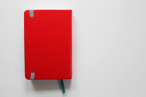 Бумажная книга «Holy Bible» - фото №1