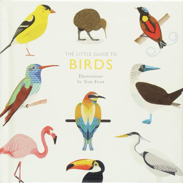 Бумажная книга «Little Guide to Birds», автор Элисон Дэвис - фото №1