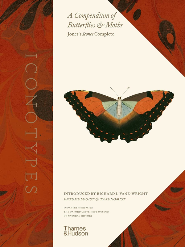 Паперова книга «Iconotypes» - фото №1