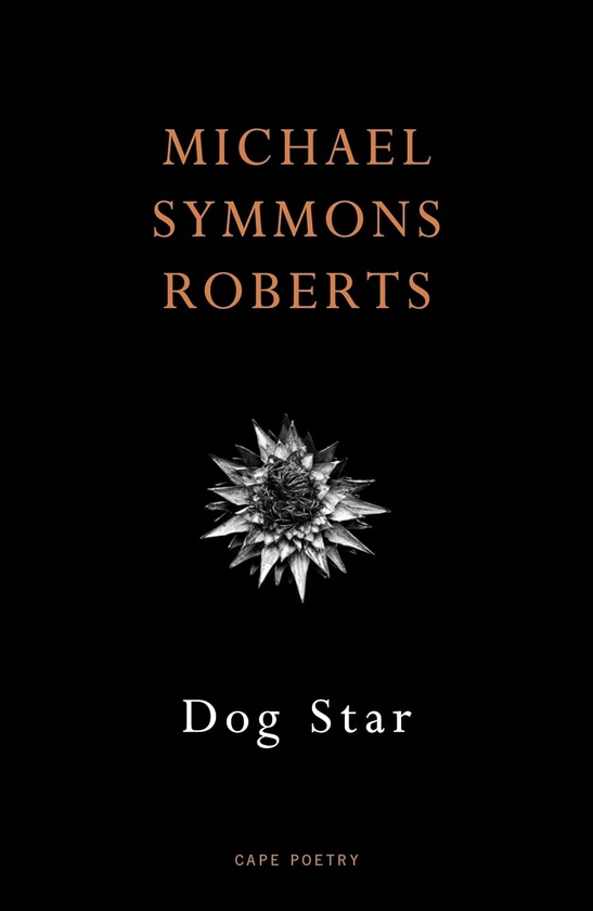 Бумажная книга «Dog Star», автор Майкл Симмонс Робертс - фото №1