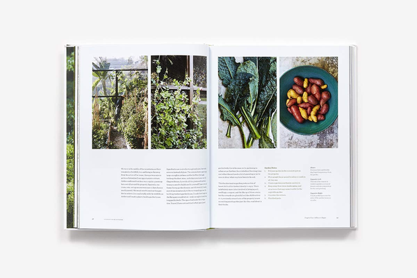 Бумажная книга «A Garden Can Be Anywhere. Creating Bountiful and Beautiful Edible Gardens», автор Лаури Кранц - фото №1
