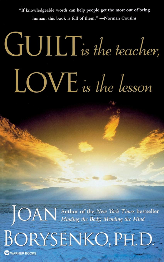 Бумажная книга «Guilt is the Teacher, Love is the Lesson», автор Джоан Борисенко - фото №1