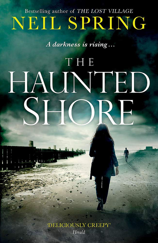 Бумажная книга «The Haunted Shore», автор Нил Спринг - фото №1
