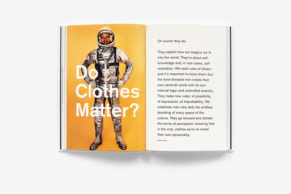 Бумажная книга «Men and Style: Essays, Interviews, and Considerations», автор Дэвид Коггинс - фото №1