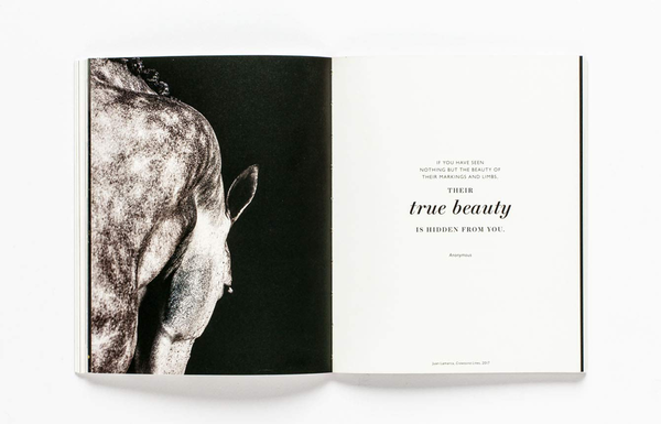Бумажная книга «The Book of the Horse», авторов Ангус Хайленд, Кэролайн Робертс - фото №1