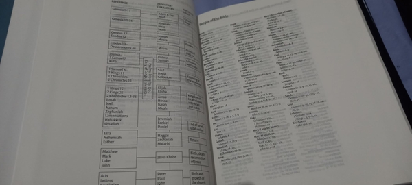 Паперова книга «Holy Bible» - фото №1