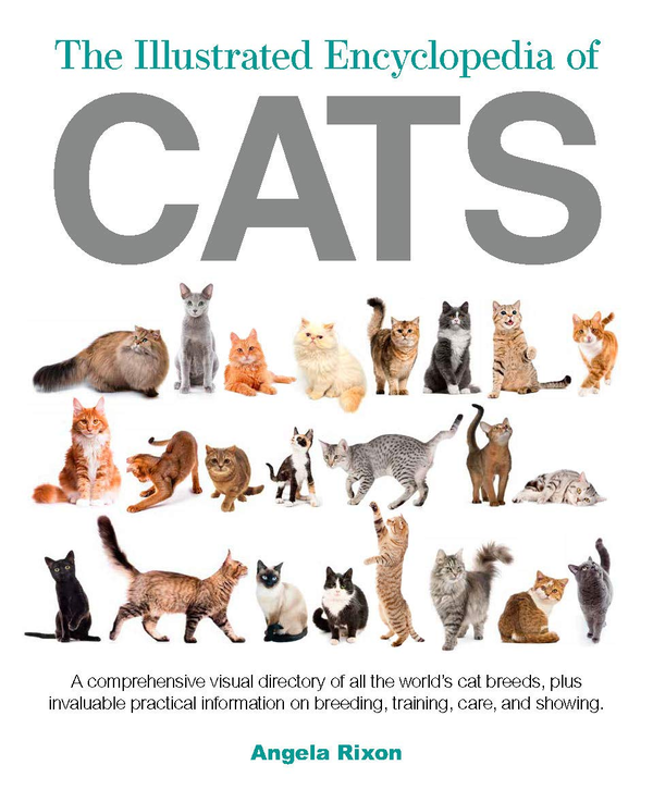 Бумажная книга «The Illustrated Encyclopedia of Cats», автор Анжела Риксон - фото №1