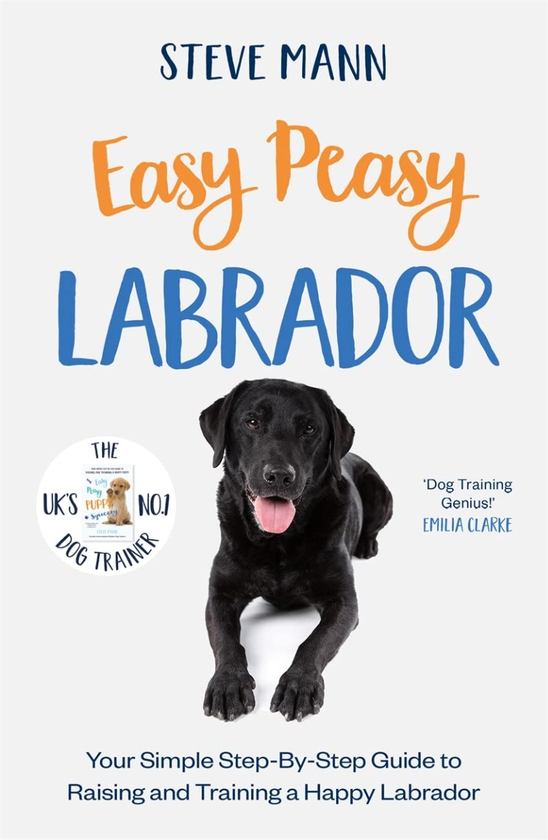 Бумажная книга «Easy Peasy Labrador», автор Стив Манн - фото №1