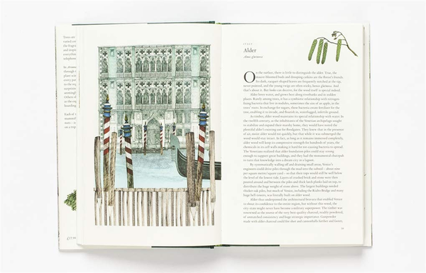 Бумажная книга «Around the World in 80 Trees», автор Джонатан Дрори - фото №1
