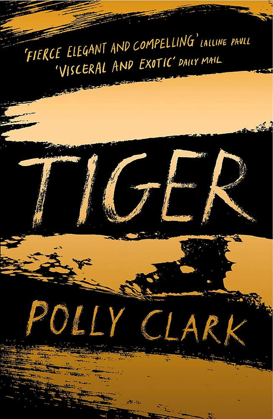 Паперова книга «Tiger», автор Поллі Кларк - фото №1