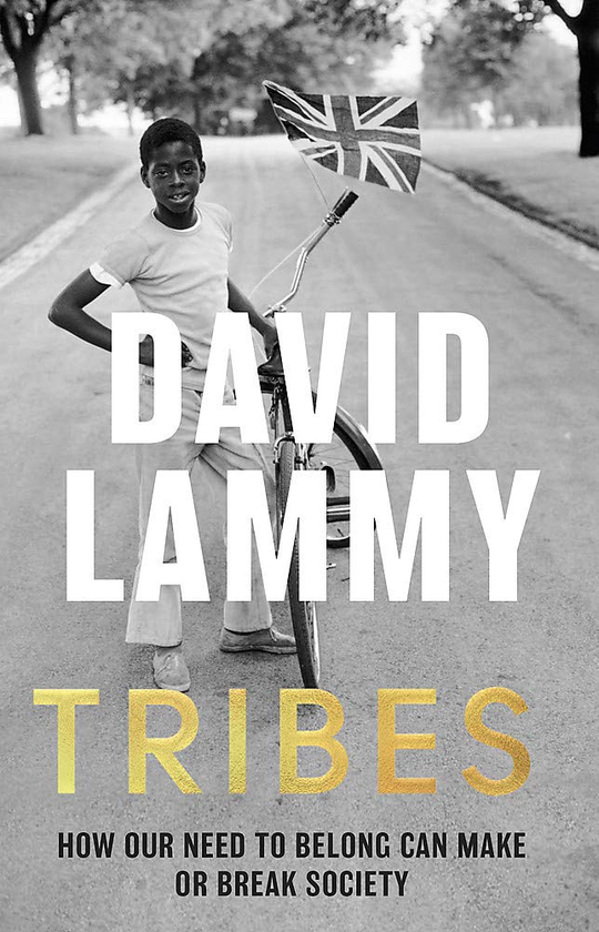 Паперова книга «Tribes», автор Девід Леммі - фото №1