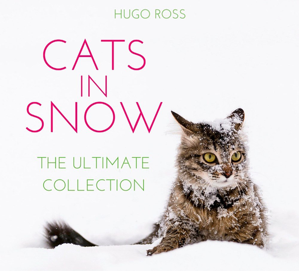 Паперова книга «Cats in Snow», автор Х'юго Рос - фото №1