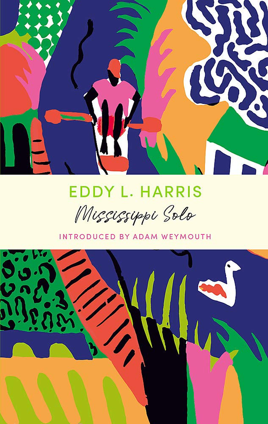 Паперова книга «Mississippi Solo», автор Едді Л. Харріс - фото №1