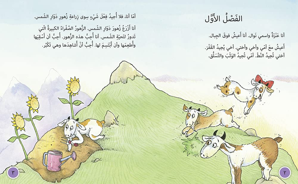 Паперова книга «The Mountain Goat: Level 13» - фото №1