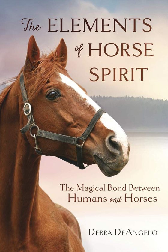 Бумажная книга «The Elements of Horse Spirit », автор Дебра Деанджело - фото №1