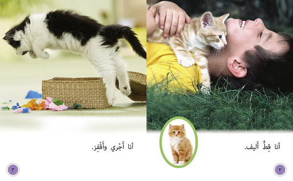 Паперова книга «Tame Cat, Wild Cat: Level 8» - фото №1
