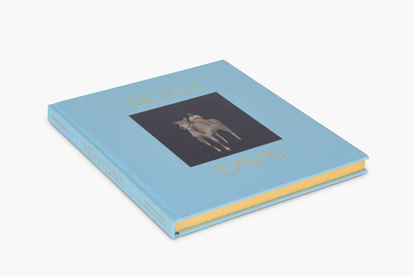 Паперова книга «Noah Davis», авторів Ноа Девіс, Хелен Молсворт - фото №1