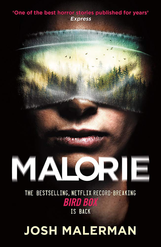 Бумажная книга «Malorie», автор Джош Малерман - фото №1