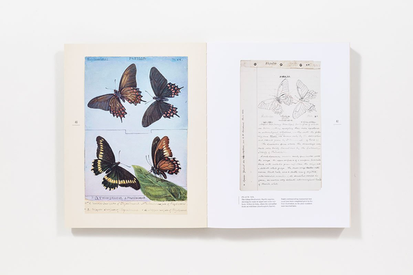 Бумажная книга «The Butterflies of North America: Titian Peale's Lost Manuscript» - фото №1