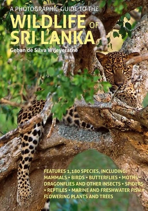 Бумажная книга «A Photographic Guide to the Wildlife of Sri Lanka», автор Гехан де Сильва Виеератне - фото №1