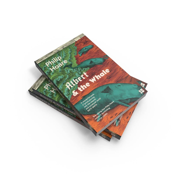 Паперова книга «Albert & the Whale», автор Філіп Хоар - фото №1