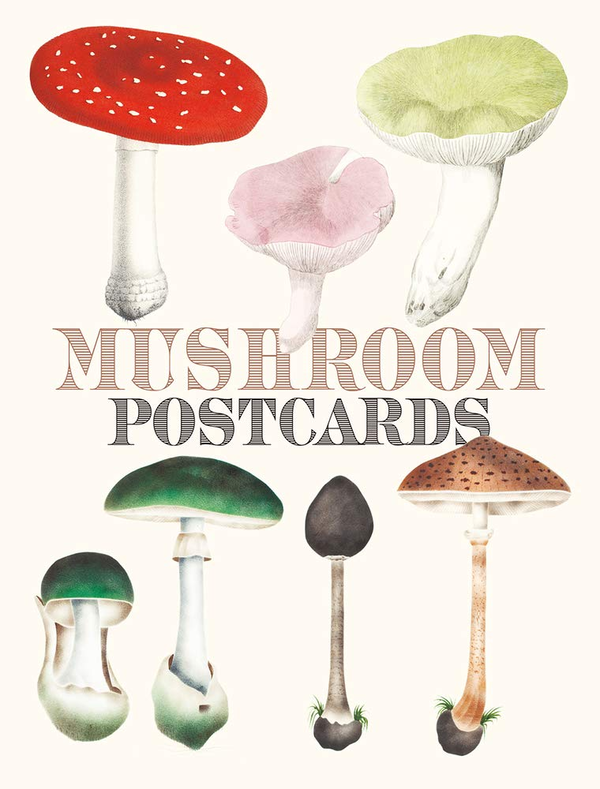 Бумажная книга «Mushroom Postcards» - фото №1