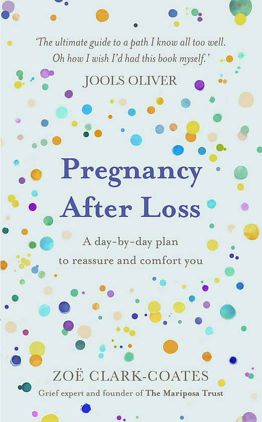 Бумажная книга «Pregnancy After Loss. A day-by-day plan to reassure and comfort you», автор Зои Кларк-Котс - фото №1