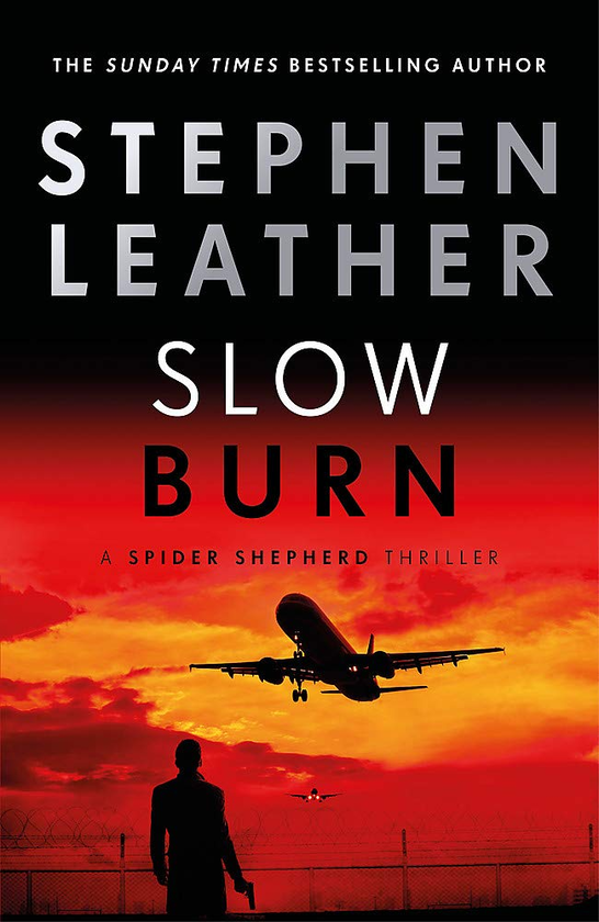 Бумажная книга «Slow Burn», автор Стивен Лизер - фото №1