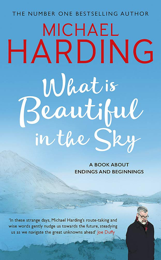 Паперова книга «What is Beautiful in the Sky. A book about endings and beginnings», автор Майкл Гардінг - фото №1