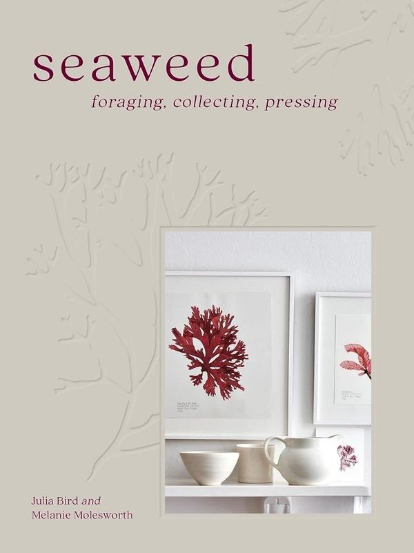 Паперова книга «Seaweed», авторів Мелані Молсворт, Джулія Берд - фото №1