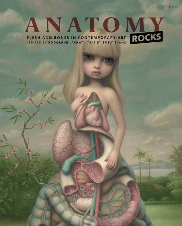 Бумажная книга «Anatomy Rocks: Flesh and Bones in Contemporary Art» - фото №1