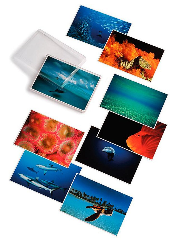 Бумажная книга «David Doubilet. Water, Light Time Postcards», автор Дэвид Дубилет - фото №1
