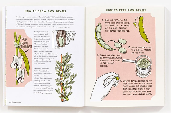 Бумажная книга «Homegrown. Illustrated Bites from Your Garden to Your Table», автор Хизер Хэрдисон - фото №1