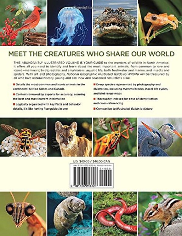 Бумажная книга «Illustrated Guide to Wildlife » - фото №1
