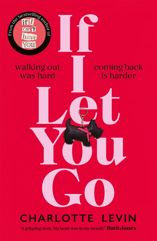 Паперова книга «If I Let You Go», автор Шарлотта Левін - фото №1