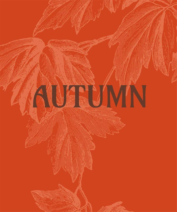 Паперова книга «Autumn», автор Кірстін МакСвейн - фото №1