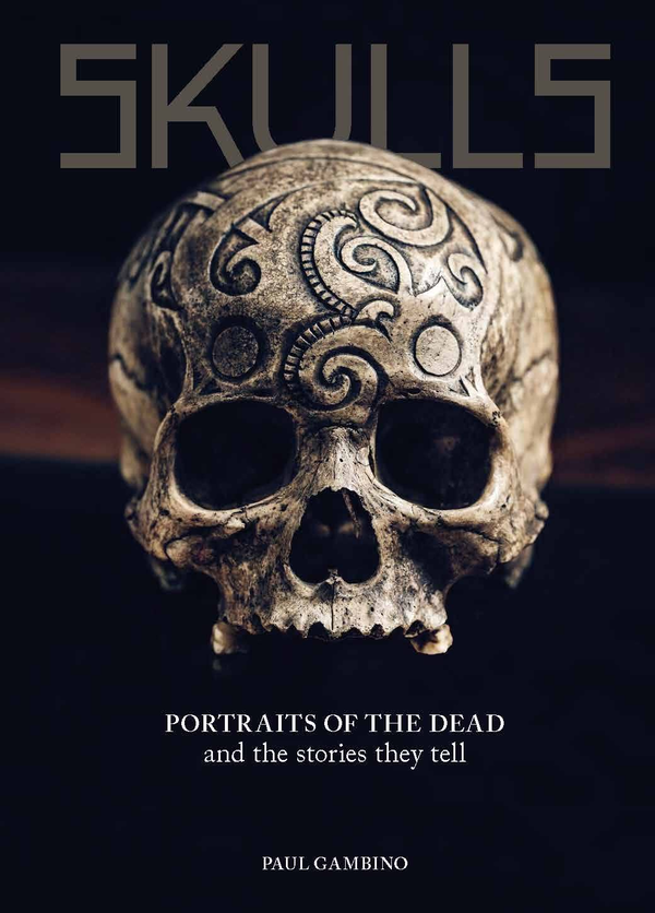 Бумажная книга «Skulls», автор Пол Гамбино - фото №1