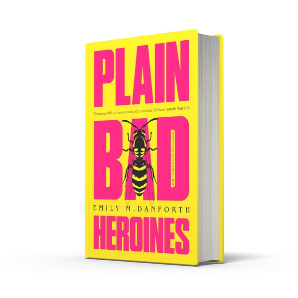 Паперова книга «Plain Bad Heroines», автор Емілі Данфорт - фото №1