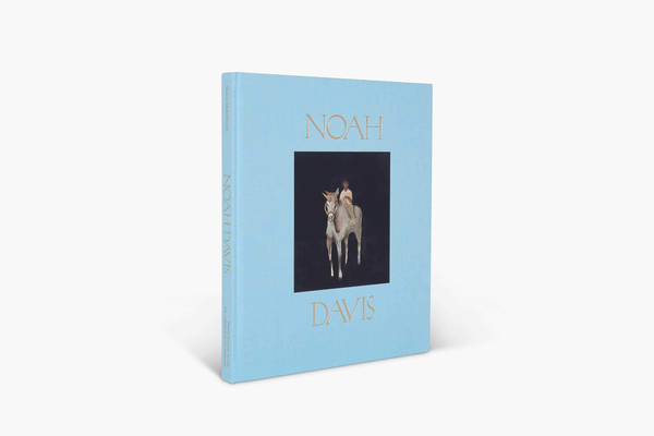 Паперова книга «Noah Davis», авторів Ноа Девіс, Хелен Молсворт - фото №1