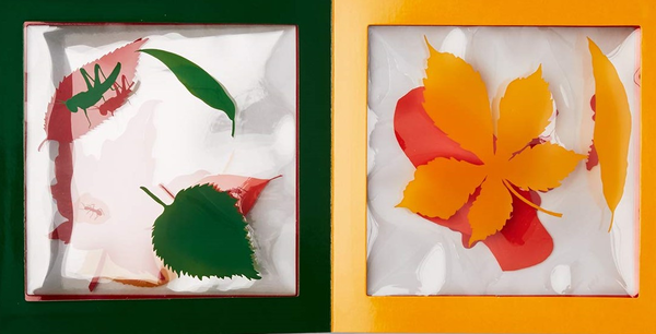 Паперова книга «A Pile of Leaves», автор Джейсон Фулфорд - фото №1