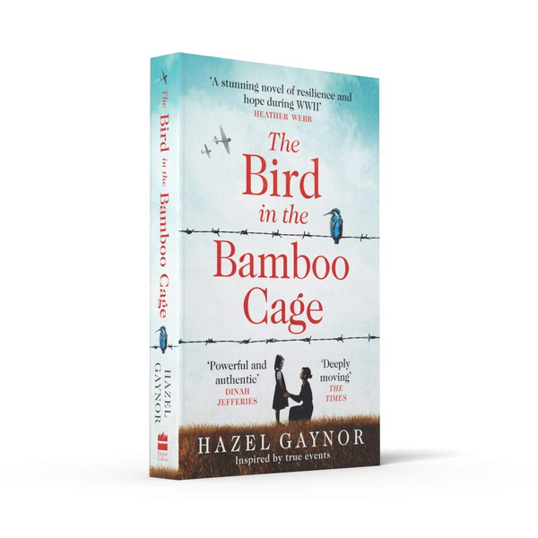 Паперова книга «The Bird in the Bamboo Cage», автор Хейзел Гейнор - фото №1