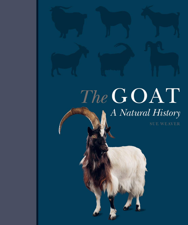 Паперова книга «The Goat», автор Сью Вівер - фото №1