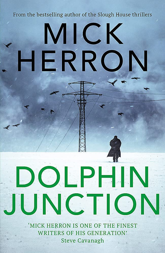 Бумажная книга «Dolphin Junction», автор Мик Херрон - фото №1