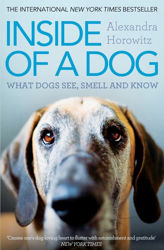 [object Object] «Inside of a Dog. What Dogs See, Smell, and Know», автор Олександра Горовіц - фото №1