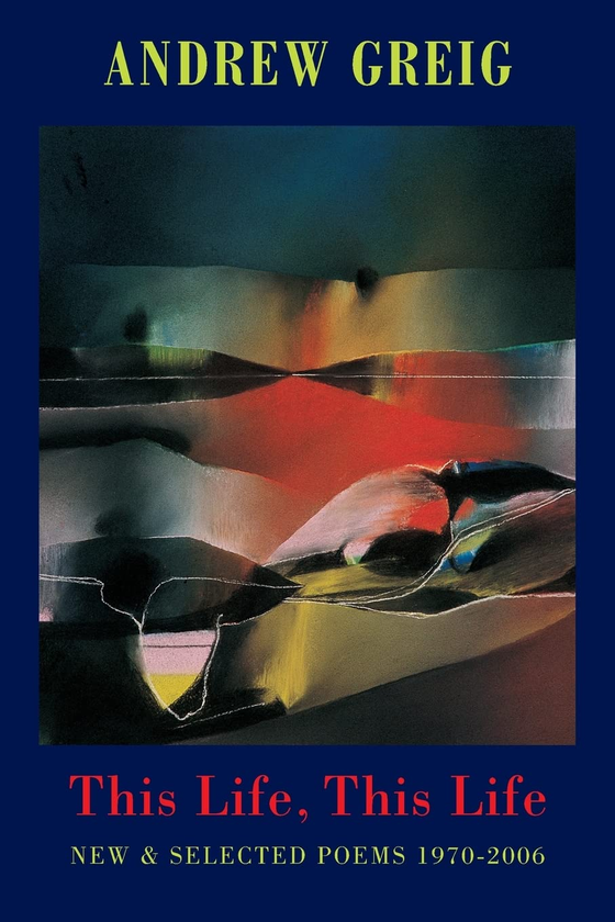 Бумажная книга «This Life, This Life. Selected Poems 1970-2006», автор Эндрю Грейг - фото №1