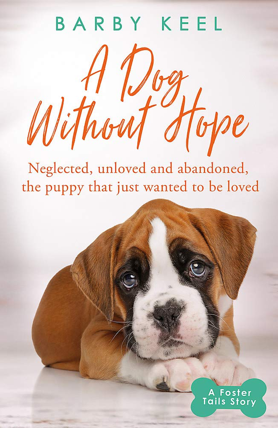 Бумажная книга «A Dog Without Hope. Neglected, unloved and abandoned, the puppy that just wanted to be loved», автор Барби Кил - фото №1