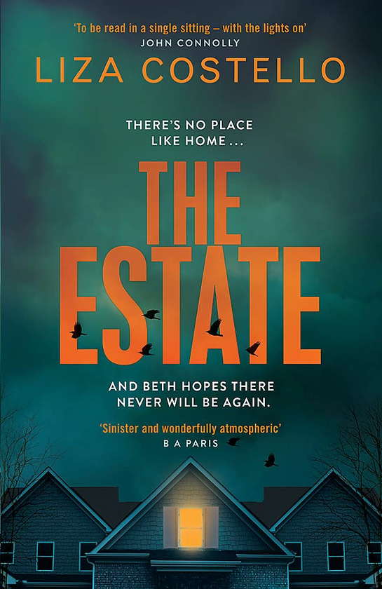 Паперова книга «The Estate», автор Ліза Костелло - фото №1