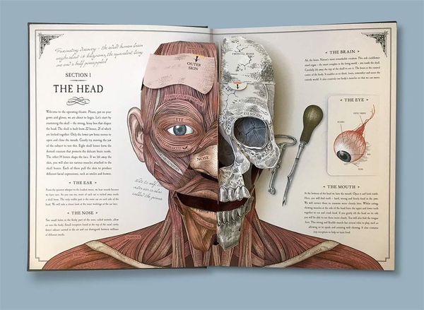 Паперова книга «The Human Body», автор Річард Уокер - фото №1